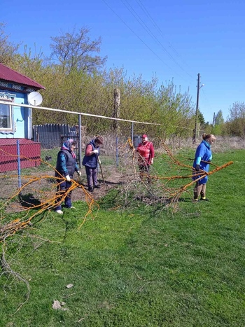 Акция «Чистый двор» 