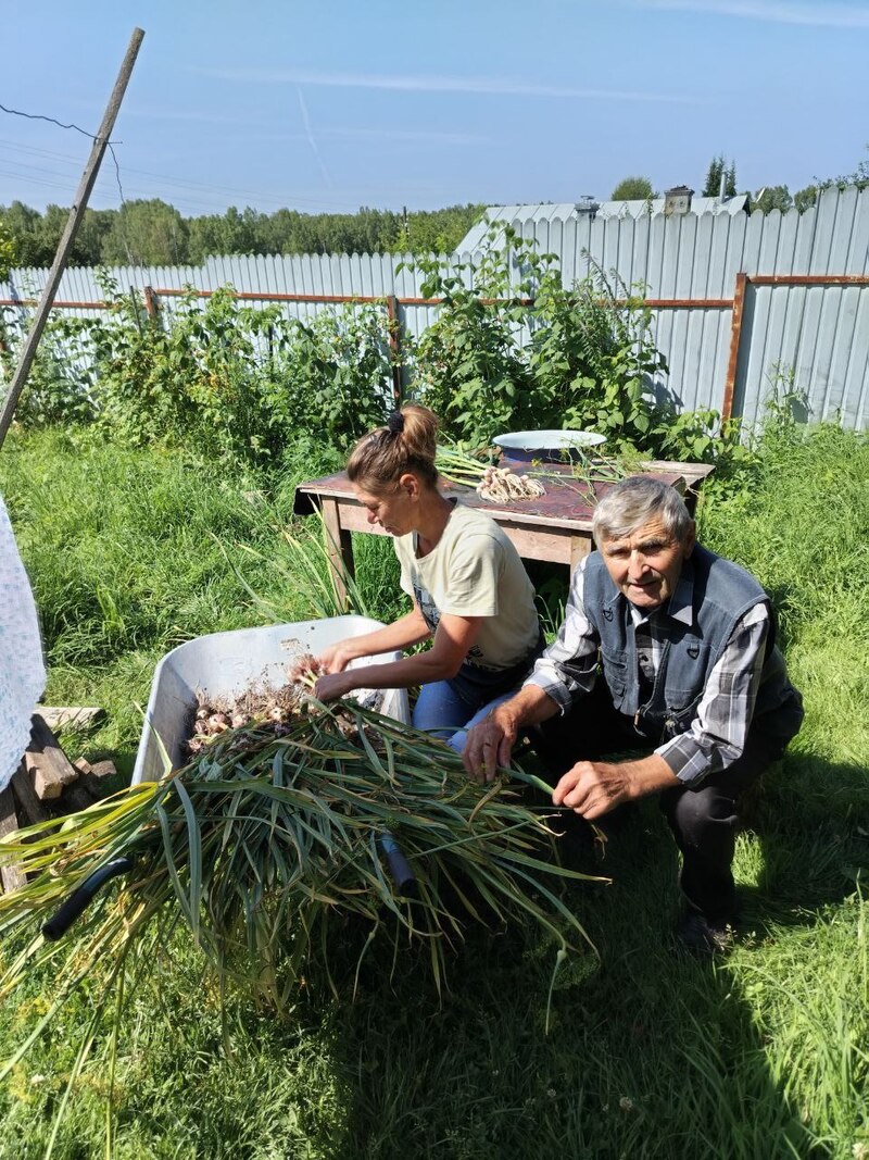 Деятельность социальных работников