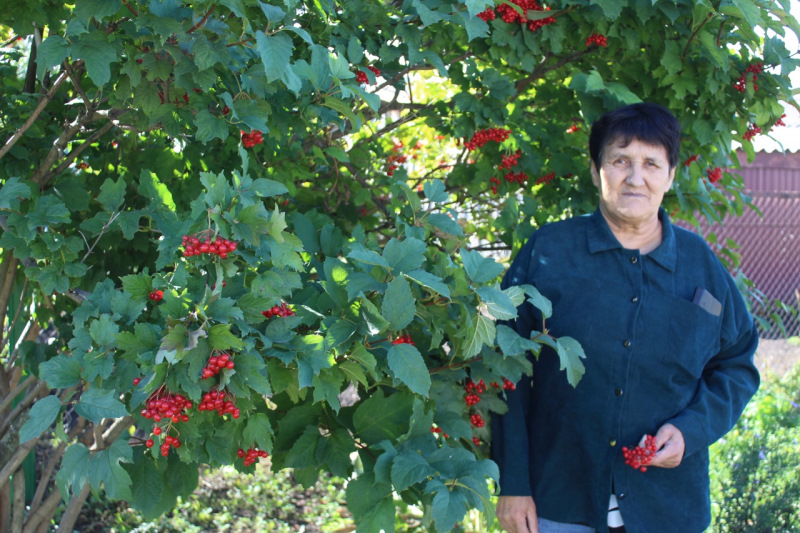 Прогулка на природе