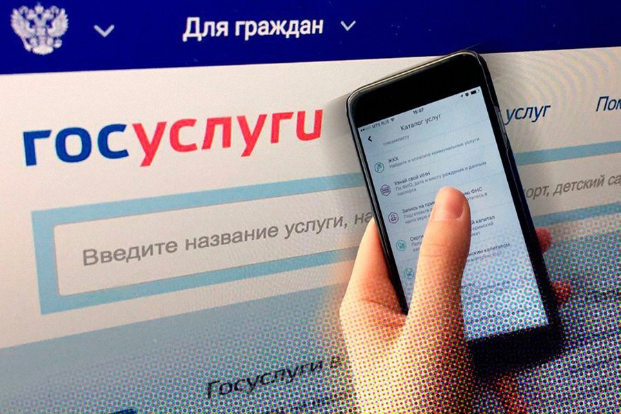 Напоминаем, что жители нашей области могут подать документы на получение 35 мер социальной поддержки в электронном виде