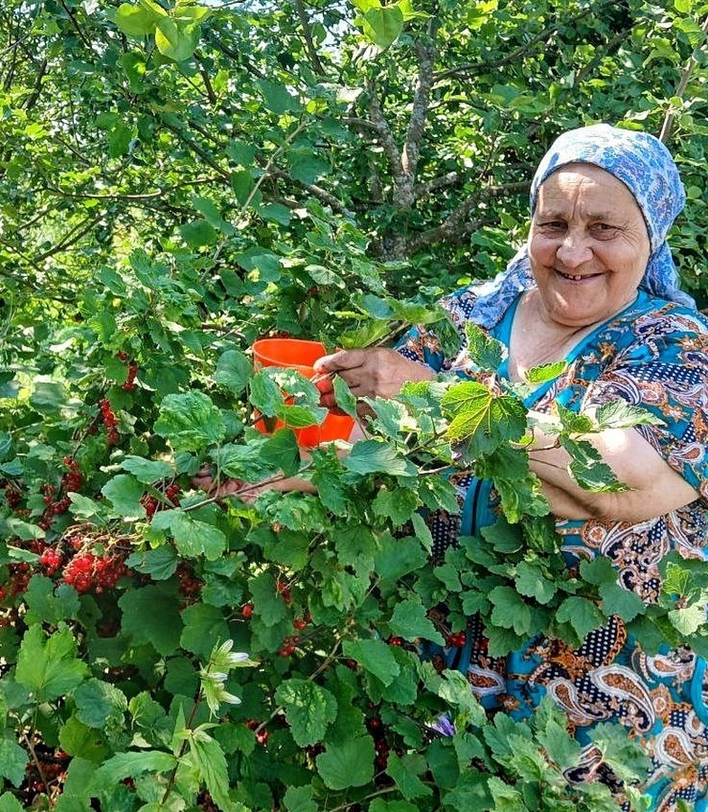 Ягодное лето!