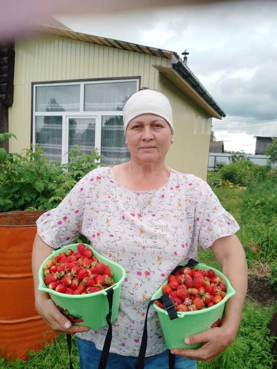 Заготовка ягод (варенья на зиму).