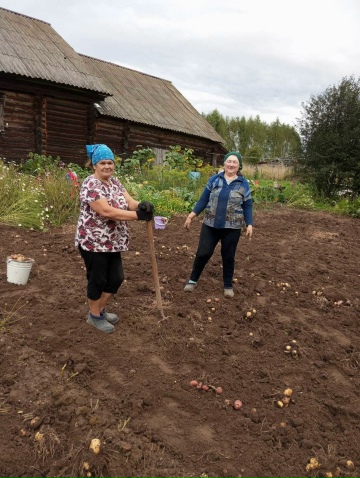 Уборка картофеля.