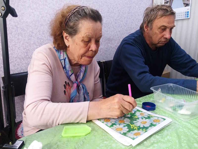 Алмазная вышивка «Ромашковое поле»